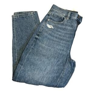 American Eagle NWT Relaxed Mom Jean Size 2/26W